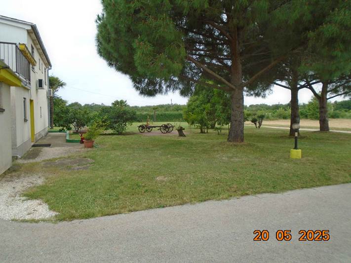 A house with a lawn and trees

AI-generated content may be incorrect.